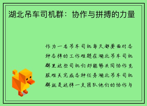湖北吊车司机群：协作与拼搏的力量